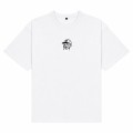 popwhite1.jpg
